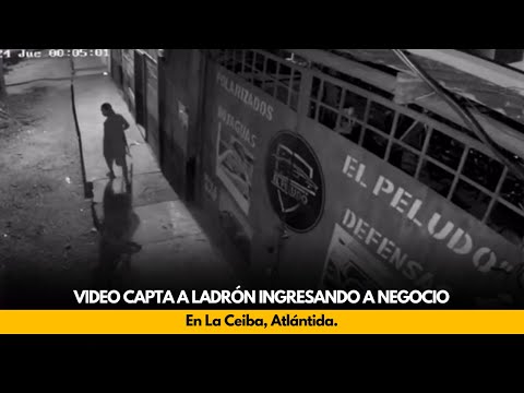 Video capta a ladrón ingresando a negocio en La Ceiba, Atlántida.