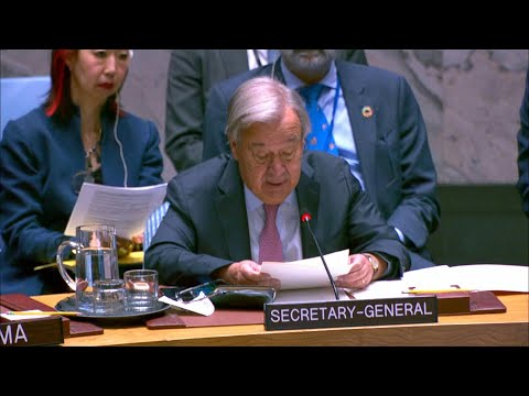 'Humanity's fate cannot be left to an algorithm': UN chief on threat of military AI | AFP