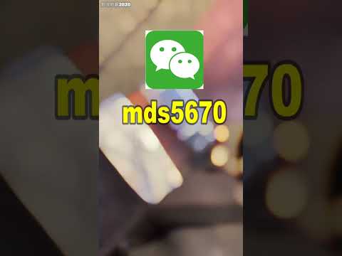 VS海马系列美洲杯腕表质量怎么样-海马系列颜值巅峰