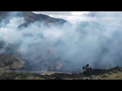 ¡Incendio forestal arrasa vereda San Roque en Chapas Sotará!