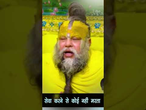 सेवा करने से कोई नहीं मरता #premanandjipravachan #motivation #youtubeshorts