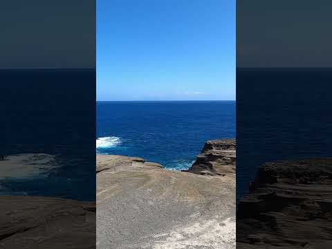 Lana'i Lookout in O‘ahu offers stunning views & epic whale watching in winter 🌊🐋 #hawaiiadventures