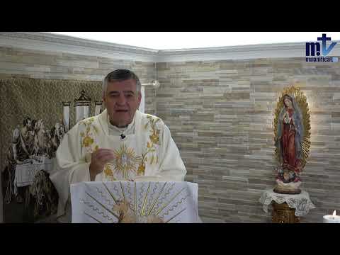 ¿Quién es Cristo para ti? | Homilía de Hoy: San Vicente de Paúl. 27-09-24 | P. Santiago Martín FM