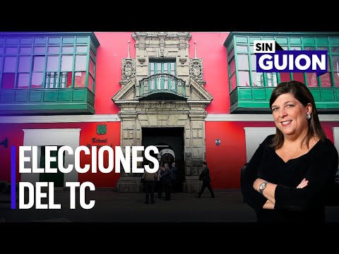 Elecciones del TC y procuradores a dedo | Sin Guion con Rosa María Palacios