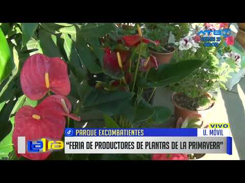 Realizan la Feria de productores de plantas de la primavera en Cochabamba