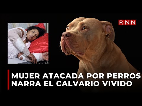 Mujer atacada por dos perros narra el calvario vivido