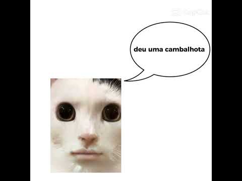 cuidado com brigadeiro