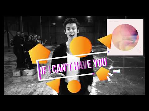 Shawn Mendes  -  If I Can't Have You (Lyrics)