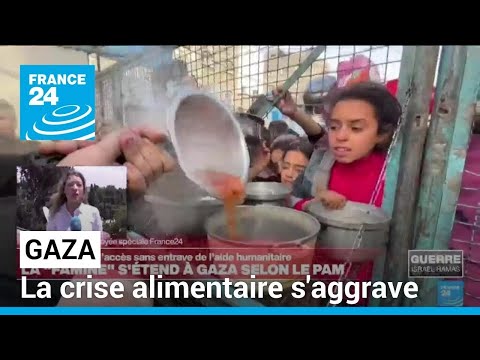 Une véritable famine s'étend dans la bande de Gaza, selon le Programme alimentaire mondial (PAM)