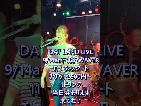 DAT BAND LIVE　2025/9/14　at下北沢WAVER #live  ＃バンド＃下北沢WAVER