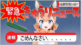【緊急きゅうりニュース】みなさまにお知らせがあります【#カラ騒ぎ/#けもV】