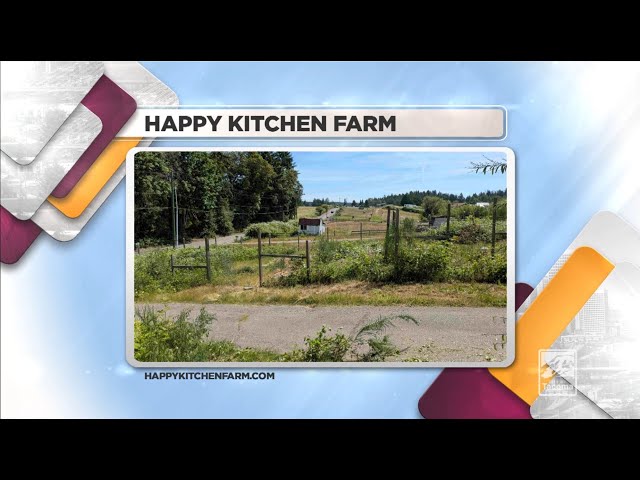 We catch up with Michael Liang and see what's sprouting up down at Happy Kitchen Farm