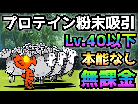 プロテイン粉末吸引  Lv.40以下＆本能なし＆無課金攻略　にゃんこ大戦争　鋼鉄スポーツジム
