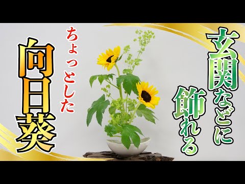 【初心者】この夏オススメ！百均の食器でひまわりを綺麗に飾る２つのポイント【生け花】