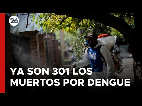ARGENTINA - Brote histórico de dengue: Ya son 301 los muertos