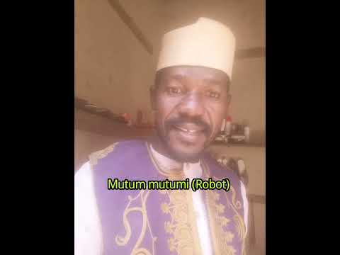 fasahar zamani da harshen Hausa. mutum #viral #arewa #robot #trendingvideos #fypage #africa#Nigeria