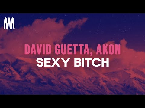 David Guetta feat. Akon - Sexy B*itch (Lyrics)