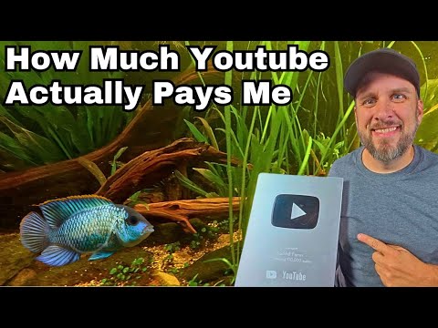 Can You Really Earn a Living From Aquarium Videos? How much YouTube pays me to make aquarium videos

For help with your Youtube channel, check out my w