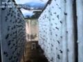 Клубника: MORANGOS HIDROPÔNICOS NO SERTÃO DA PARAÍBA