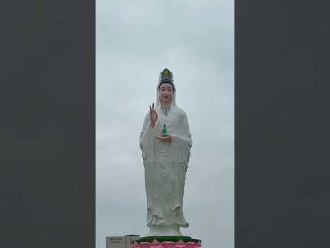 MỌI KHỔ ĐAU TRONG CÕI ĐỜI ĐỀU BẮT NGUỒN TỪ SỰ LUYẾN ÁI VÀ DÍNH MẮC