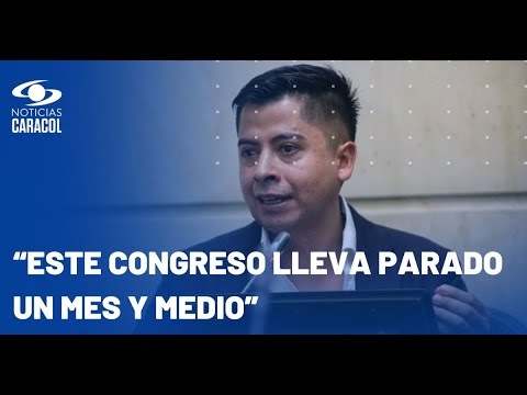 “Si no rearma mayorías se le va a hundir todo”: Ariel Ávila al Gobierno