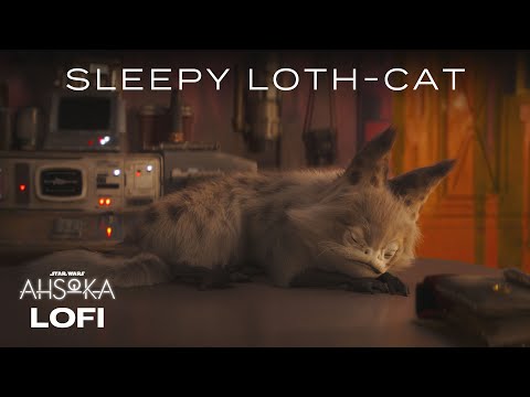 Sabine’s Loth-Cat | Star Wars Lofi | #Ahsoka Season Finale Tonight