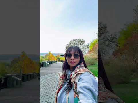 832 stone steps of George Trails #watkinsglenstatepark #newyork #hiking #travel #autumn #shortvideo