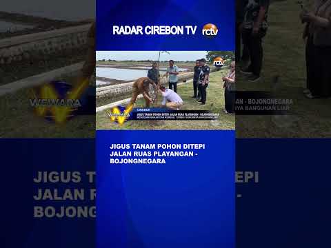 Jigus Tanam Pohon Ditepi Jalan Ruas Playangan Bojongnegara