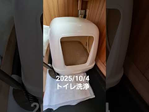 イヴ🐱トイレ洗浄