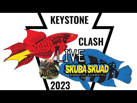 Keystone clash 2023 with special guest Skuba Steve 