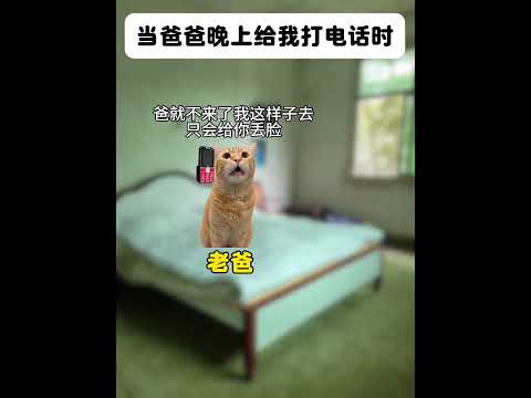 猫の動画サムネイル - 出身寒微 不是耻辱 能屈能伸方为丈夫 #猫meme #猫meme剧场 #内容过于真实  #故事 #貓 #猫猫meme小剧场 #喵不可言