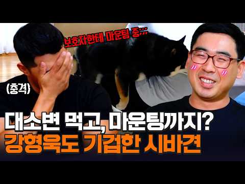 대변 먹은 입으로 보호자에게 뽀뽀?!😱 식분증부터 마운팅까지 멈추지 않는 강아지 문제 행동 | 개와 늑대의 시간 5회