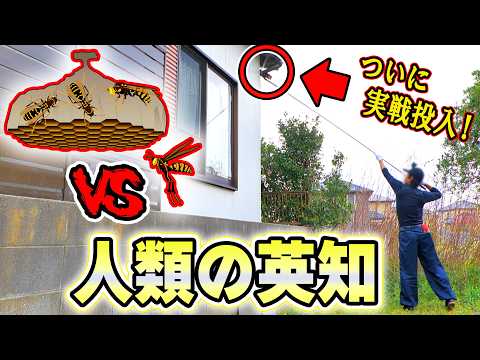 蜂の脅威を排除する為にあの兵器を実戦投入したら、まさかの事態が‥😱【DIYでハチの巣調査、駆除、対策の方法🐝】