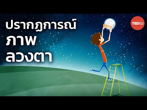 จงใฝ่รู้อยู่เสมอ — TED Ed ปรากฏการณ์ภาพลวงตาแอนดรูว์แวนเดนเฮอเวิล