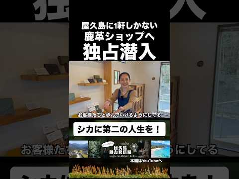 【切り抜き】島で唯一のヤクシカ革作家のお店にいってみたら素敵すぎた