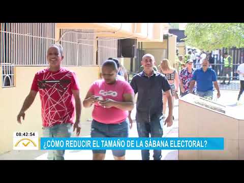 Bernardo Vega: Cómo reducir el tamaño de la sábana electoral