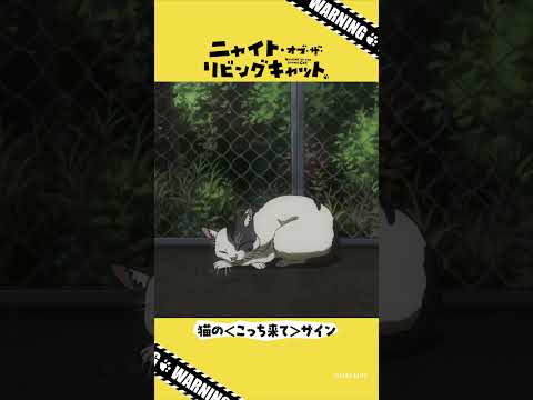 TVアニメ『ニャイト・オブ・ザ・リビングキャット』猫知識「猫の＜こっち来て＞サイン」