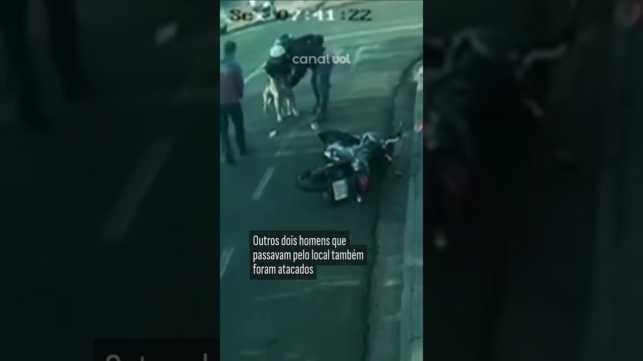 Pitbull escapa de casa e ataca três pessoas em São José do Rio Preto SP vídeo