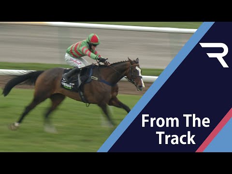 Horse Riding 🐎 Champion Hurdle dream still alive for TOMMY’S OSCAR - Racing TV