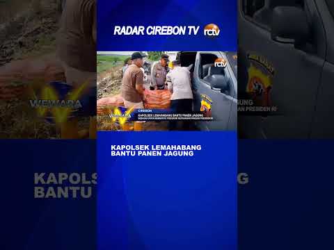 Kapolsek Lemahabang Bantu Panen Jagung