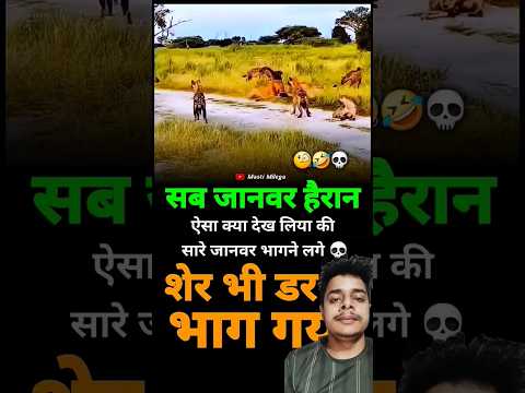 Duniya ki sab se pyari awaaz 🥰 #azan #islamicvideos #islamicstutus #shortfeed #quran #shorts #azma