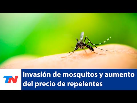 Los mosquitos aumentan y el precio de los repelentes también
