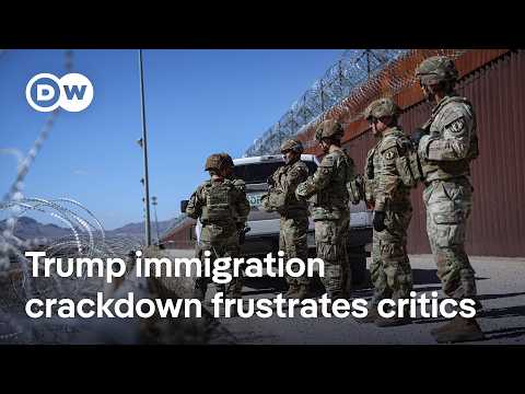 What is the legal status of private militias patrolling the US border? | DW News