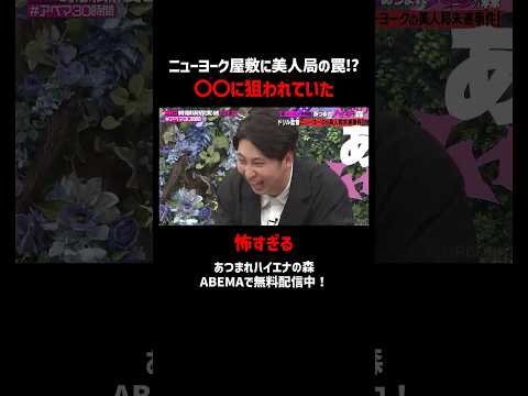 ニューヨーク屋敷が美人局の罠に!? #あつまれハイエナの森 ABEMAで無料配信中!#ABEMA30時間 #ニューヨーク #さらば青春の光 #ABEMA #週刊誌