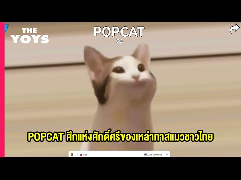 POPCAT-คืออะไร-มินิเกมแห่งศักด POPCAT-คืออะไร-มินิเกมแห่งศักด