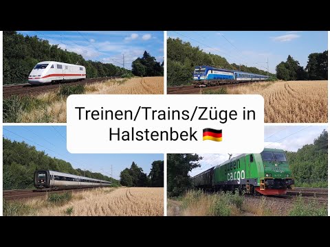 Treinen/Trains/Züge in Halstenbek 🇩🇪
