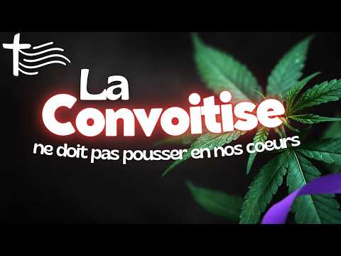 Parole et Évangile du jour | Vendredi 6 mars • Ne cultivez pas la plante du mal