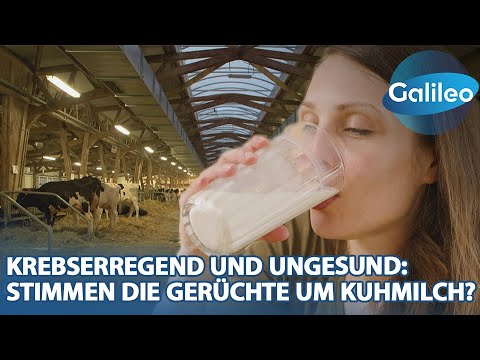 Milch-Mythen: Was ist dran an den Gerüchten rund um Kuhmilch?