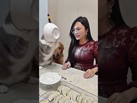 我家貓發話了:你有啥可牛的，咱家我說了算 #萌寵出道計劃 #萌寵日常記錄 #我家毛孩子 #它真的好像<strong>個</strong>小寶寶 #創作靈感