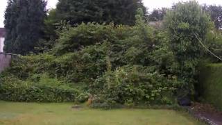 R.N. Williams Garden Services, A Gardener in Llanelli, Carmarthenshire - YouTube